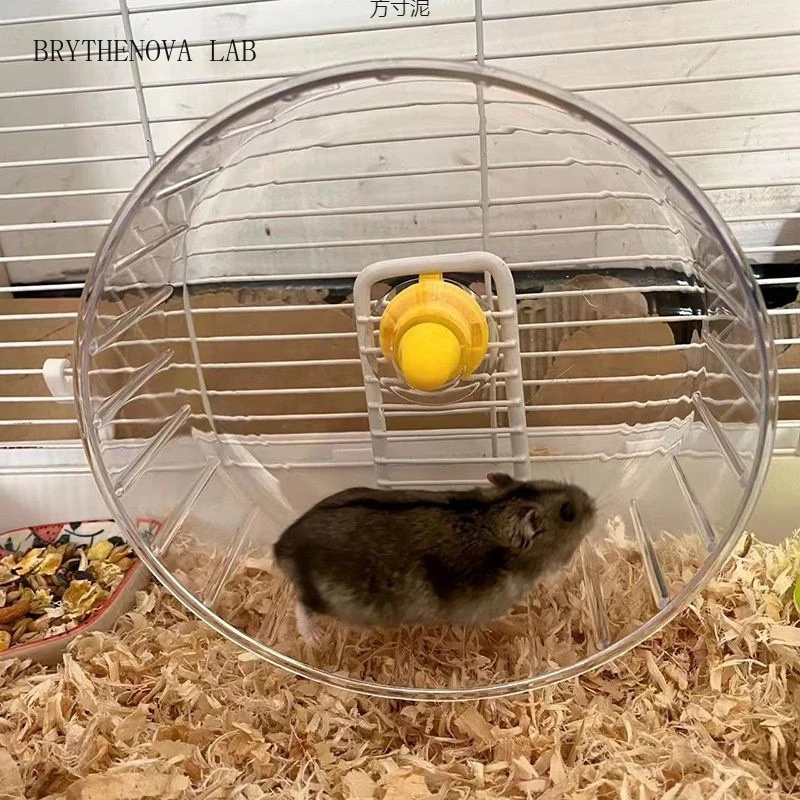 Hamster Running Wheel with Sta - Hamster Cage Wheel ulasan dan harga