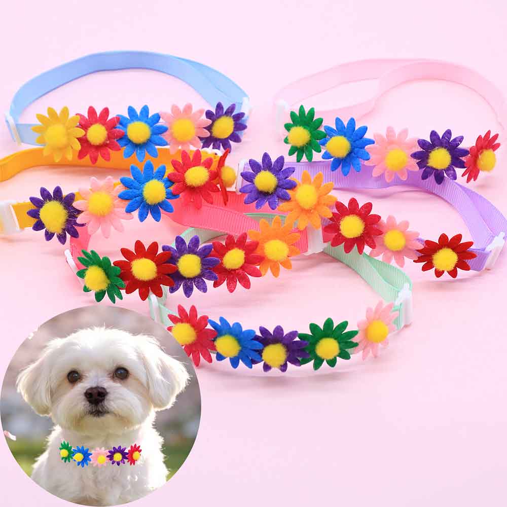 50PCS Colorful Dog Bowties Flo - Pet Supplies Co ulasan dan harga