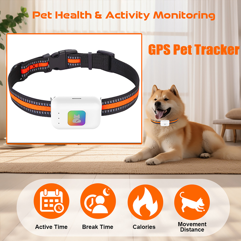 Pet GPS AGPS Tracking Device 4 - Pet Supplies Discount ulasan dan harga