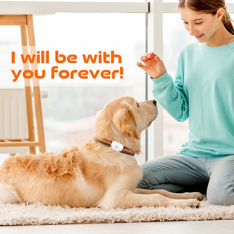 Pet GPS AGPS Tracking Device 4 - Pet Supplies Discount ulasan dan harga