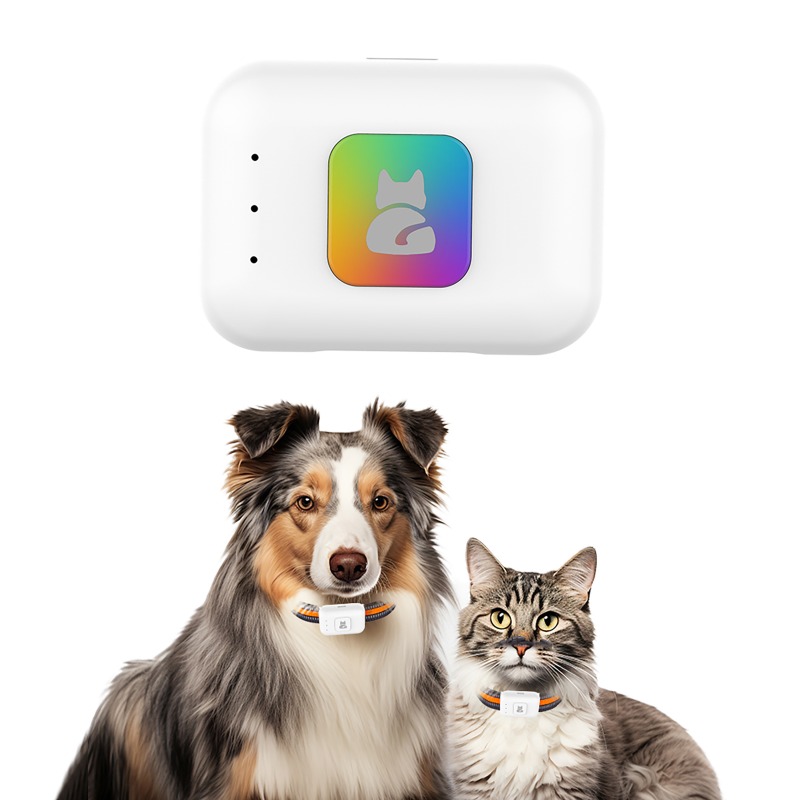 Pet GPS AGPS Tracking Device 4 - Pet Supplies Discount ulasan dan harga