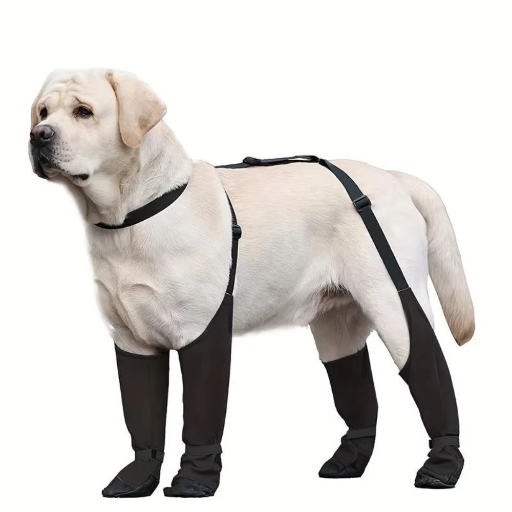 Anti-fall Waterproof Dog Shoes - Dog Booties Paw Protector ulasan dan harga