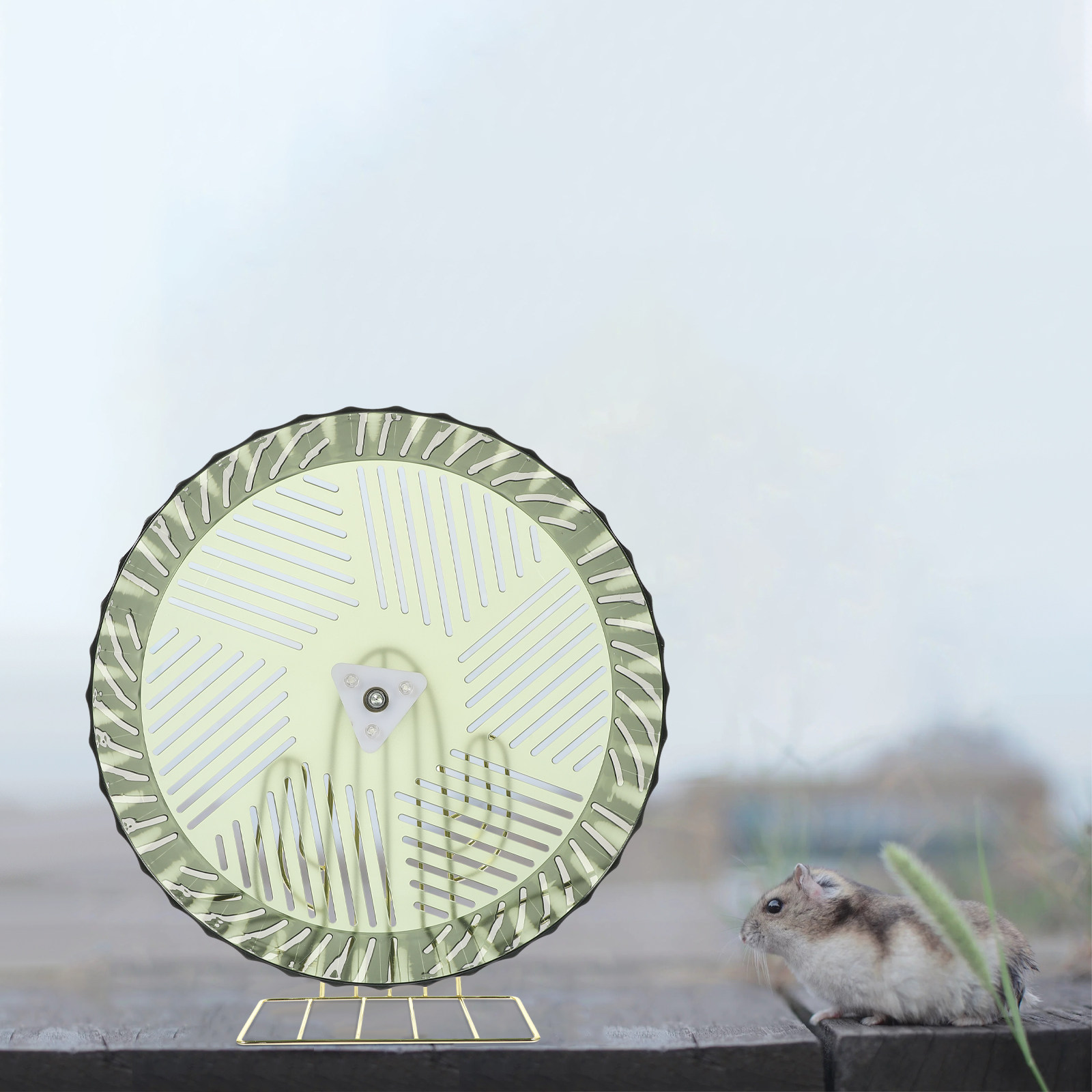 Healthy Growth Hamster Wheel E - Hamster Cage Wheel ulasan dan harga