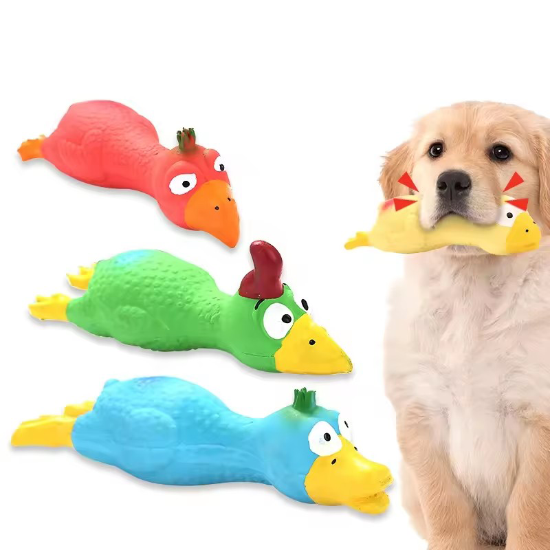 Cute Dog Squeak Toy Latex Chic - Pet Supplies Coupon ulasan dan harga