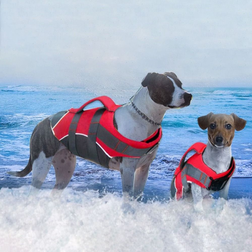 Reflective Dog Life Jacket Adj - Dog Life Jacket ulasan dan harga