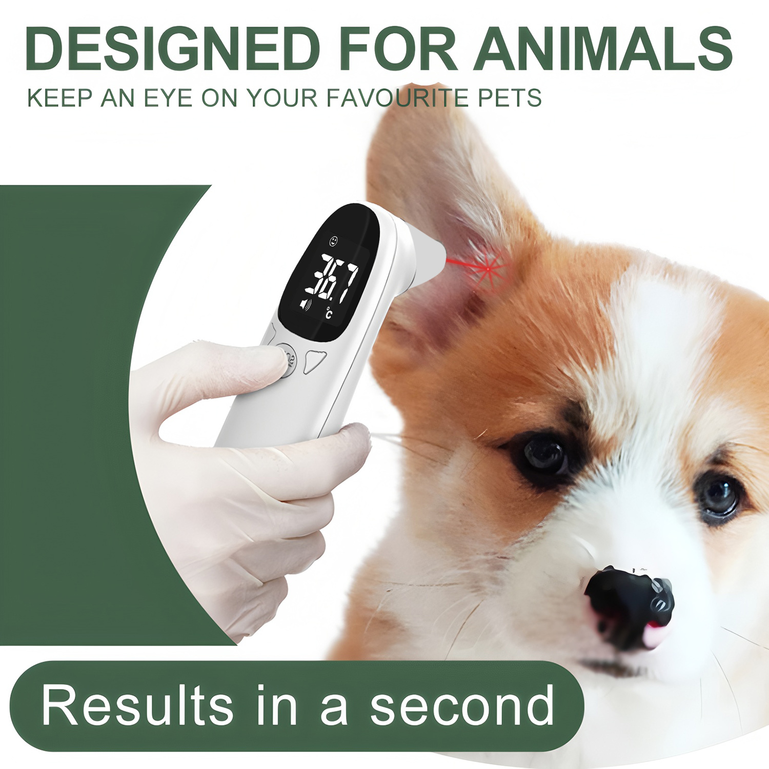 Pet Ear Digital Thermometer No - Pet Supplies Discount ulasan dan harga