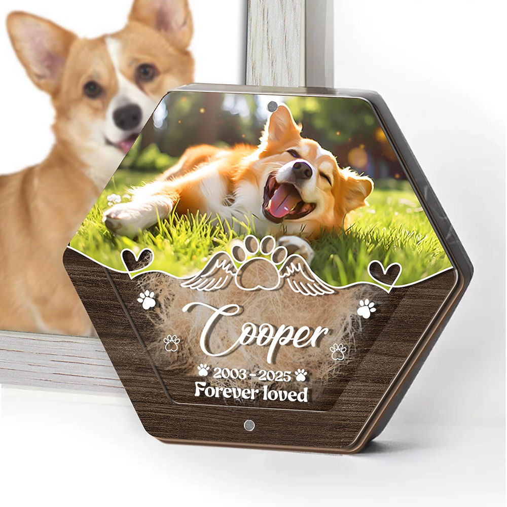 Personalized Name Wooden Carvi - Pet Supplies Discount ulasan dan harga