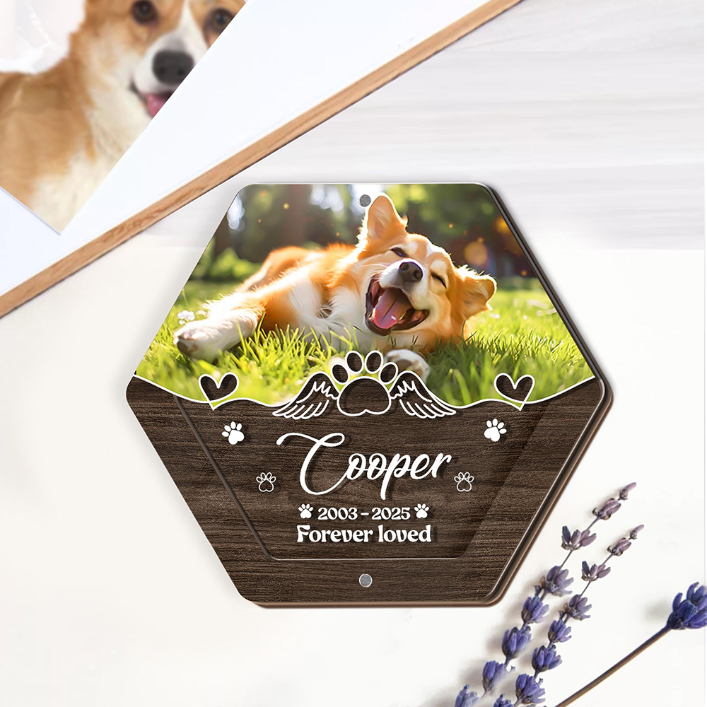 Personalized Name Wooden Carvi - Pet Supplies Discount ulasan dan harga