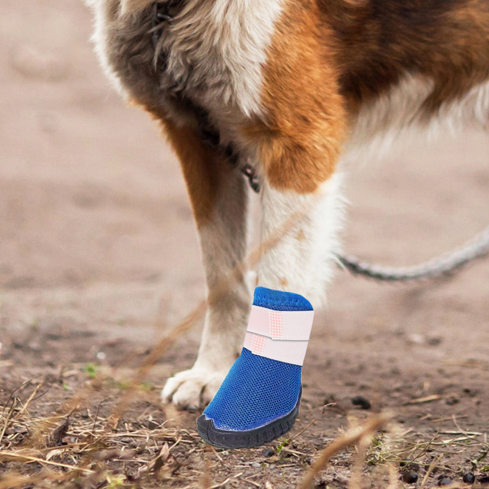 10Pcs Pet Bootie Holders Non S - Dog Booties Paw Protector ulasan dan harga