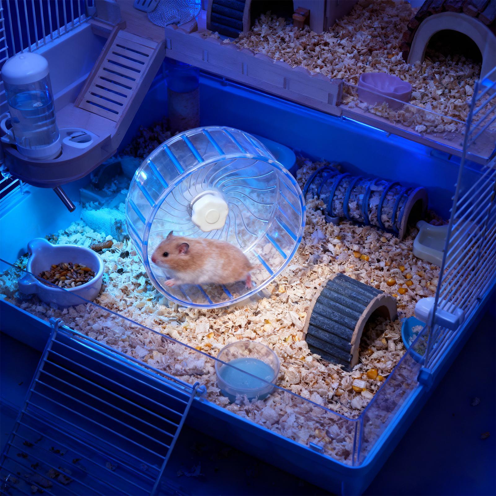 Silent Hamster Wheel Quiet Dou - Hamster Cage Wheel ulasan dan harga