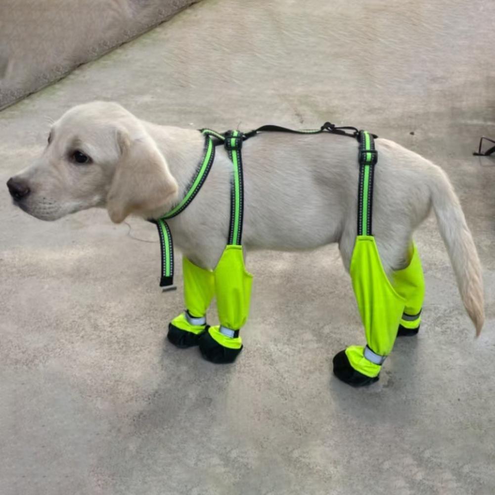 Dog Suspender Booties Anti-Sli - Dog Booties Paw Protector ulasan dan harga