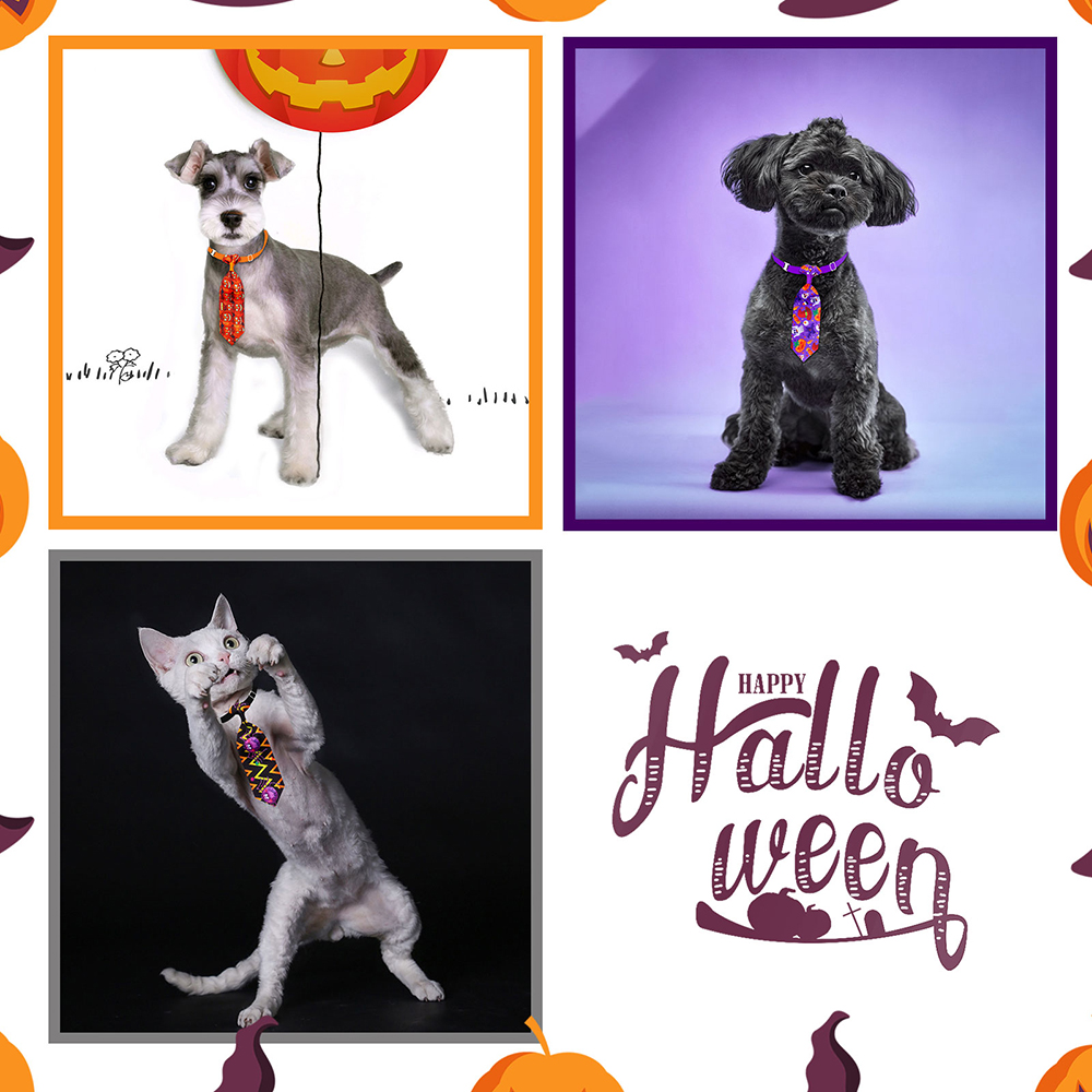 50/100pcs Halloween Dog Groomi - Pet Supplies Co ulasan dan harga