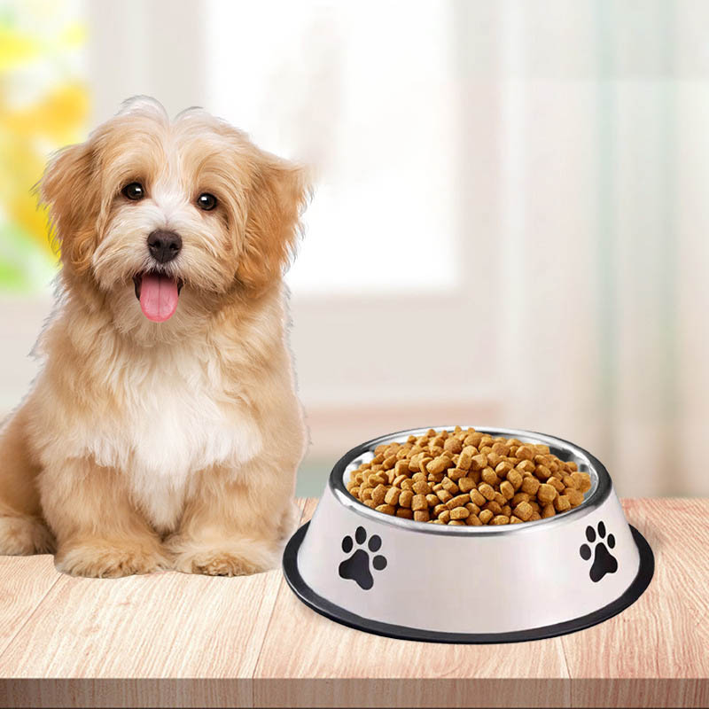 Stainless Steel Pet Bowl Cat B - Pet Supplies Coupon ulasan dan harga