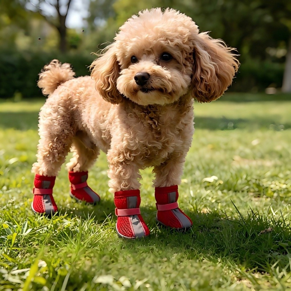 4PCS/SET Durable Non-Slip Dog  - Dog Booties Paw Protector ulasan dan harga