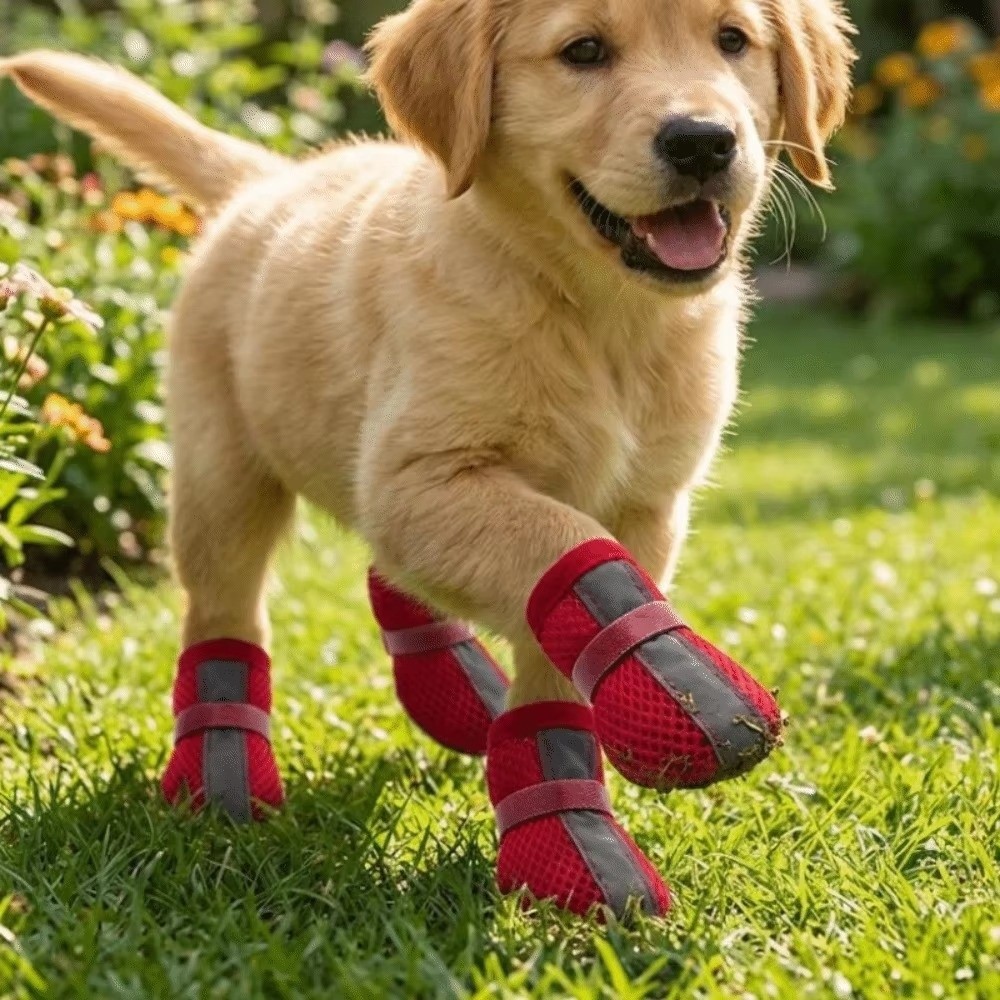 4PCS/SET Durable Non-Slip Dog  - Dog Booties Paw Protector ulasan dan harga