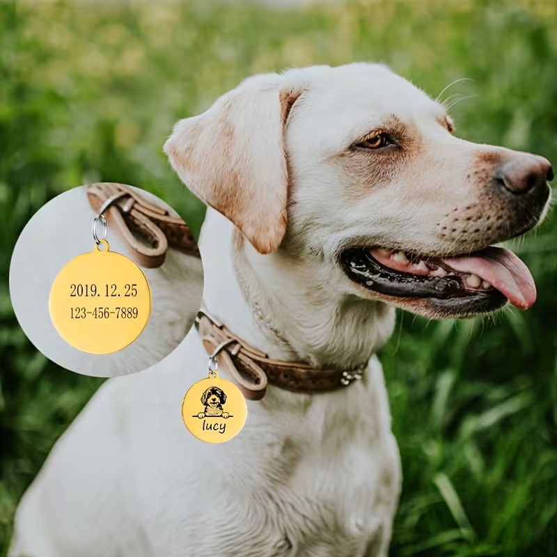 Custom Pet Name Puppy Anti-los - Pet Supplies Discount ulasan dan harga