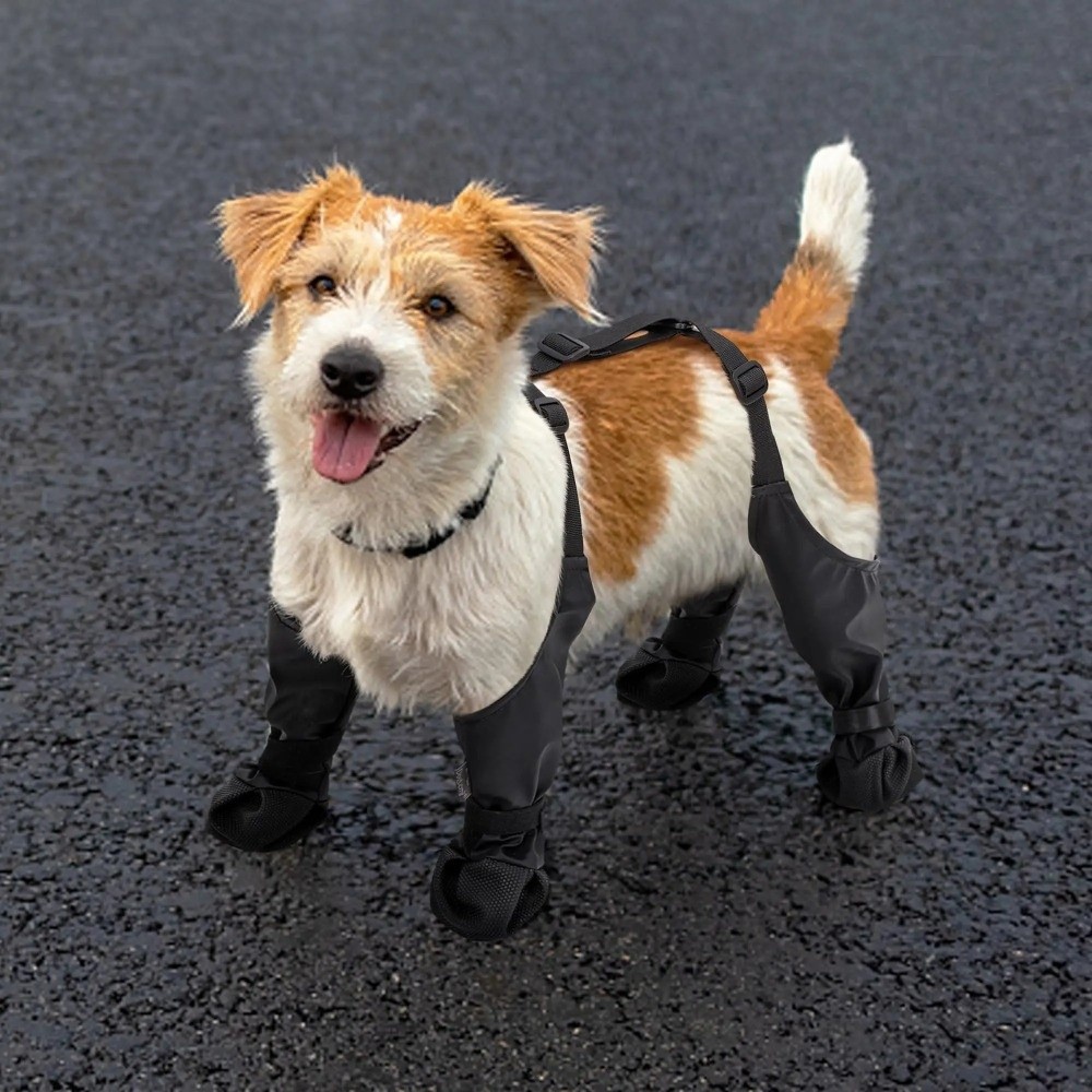 Anti-fall Waterproof Dog Shoes - Dog Booties Paw Protector ulasan dan harga