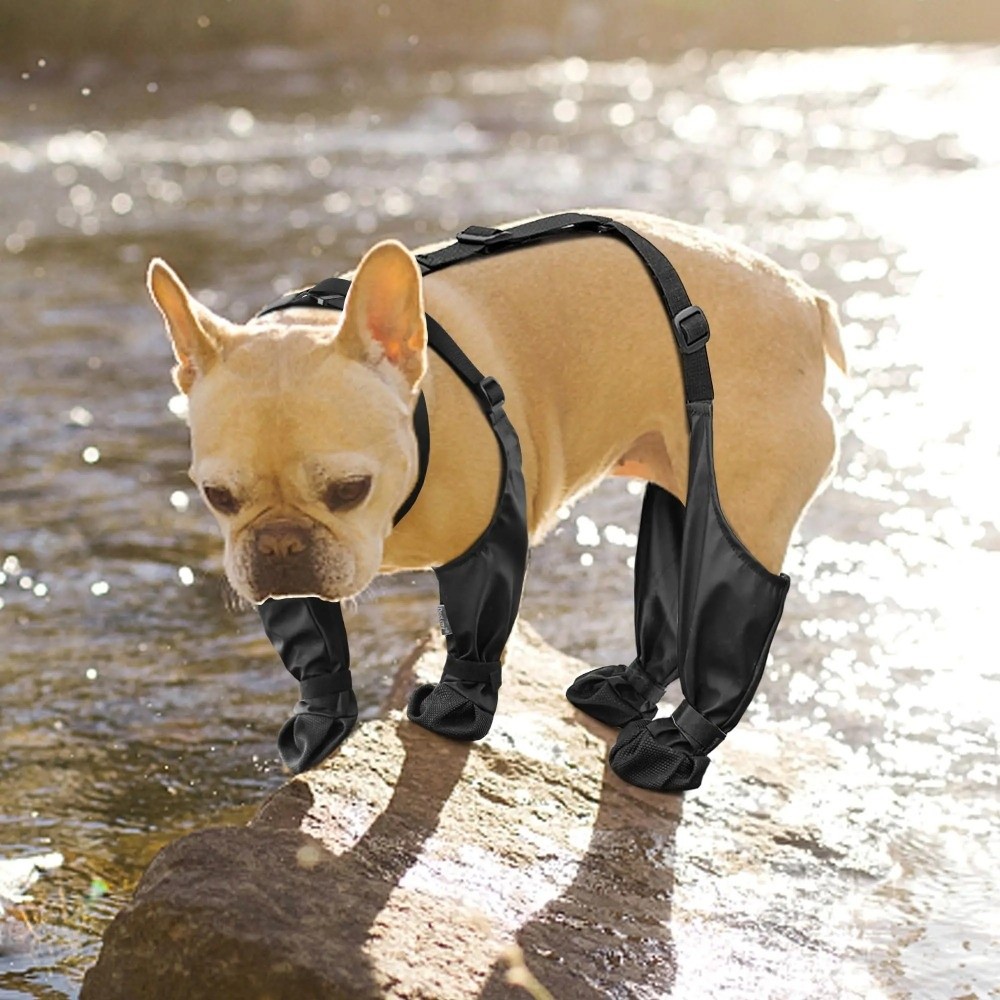 Anti-fall Waterproof Dog Shoes - Dog Booties Paw Protector ulasan dan harga
