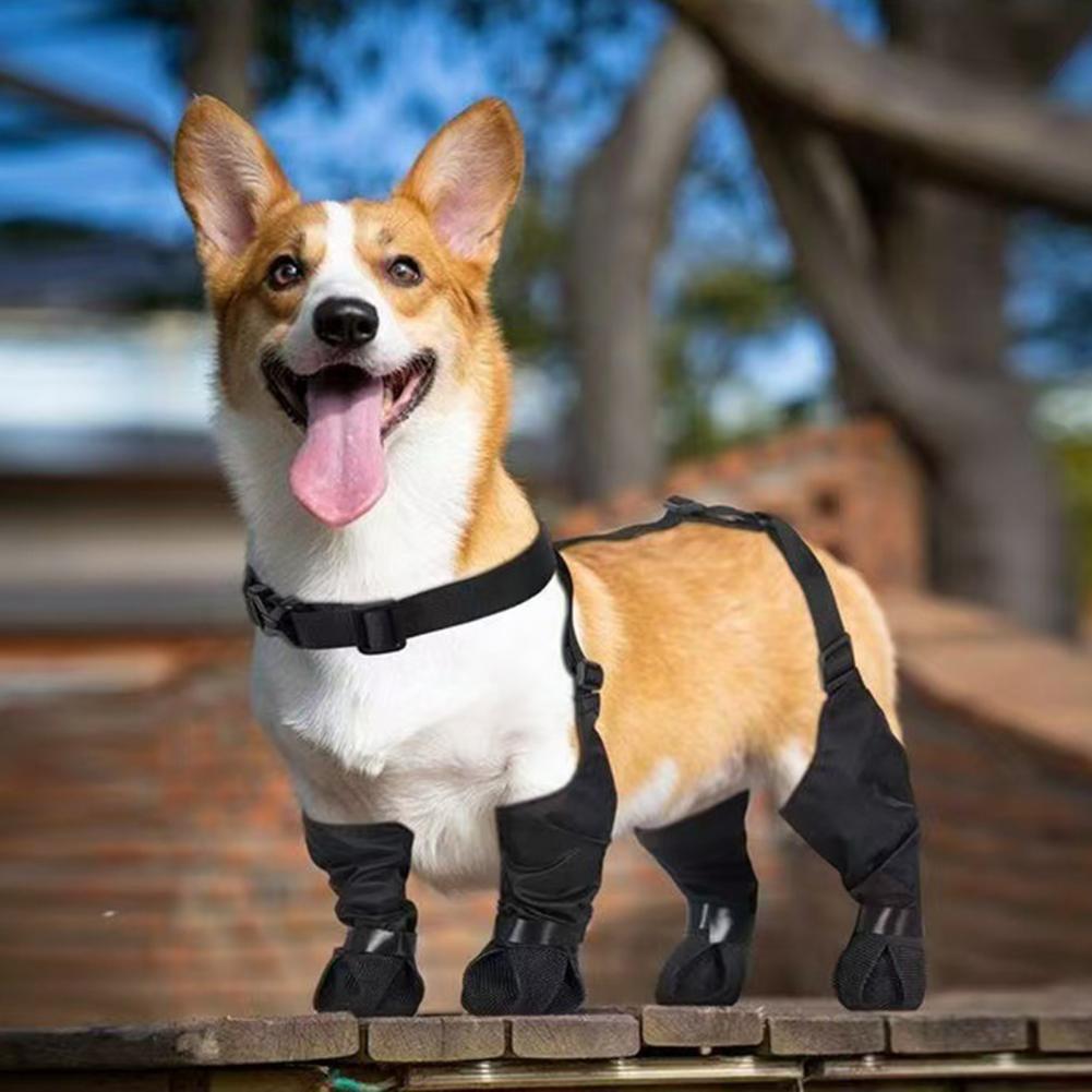 Dog Rain Boots Suspender Water - Dog Booties Paw Protector ulasan dan harga
