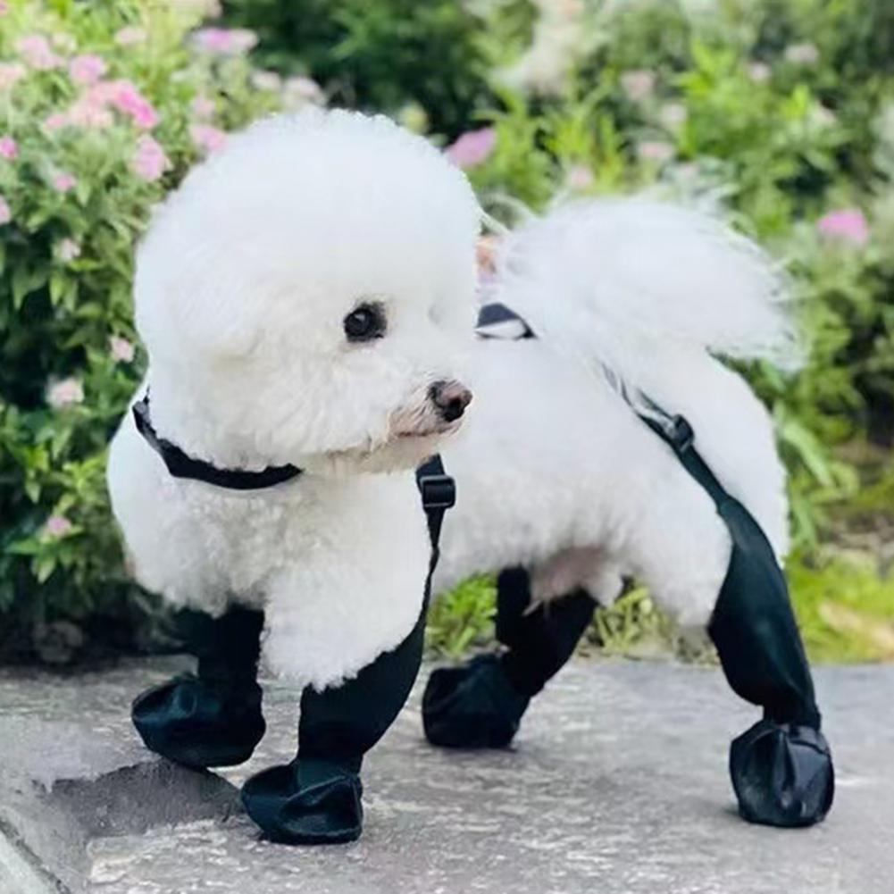 Dog Rain Boots Suspender Water - Dog Booties Paw Protector ulasan dan harga