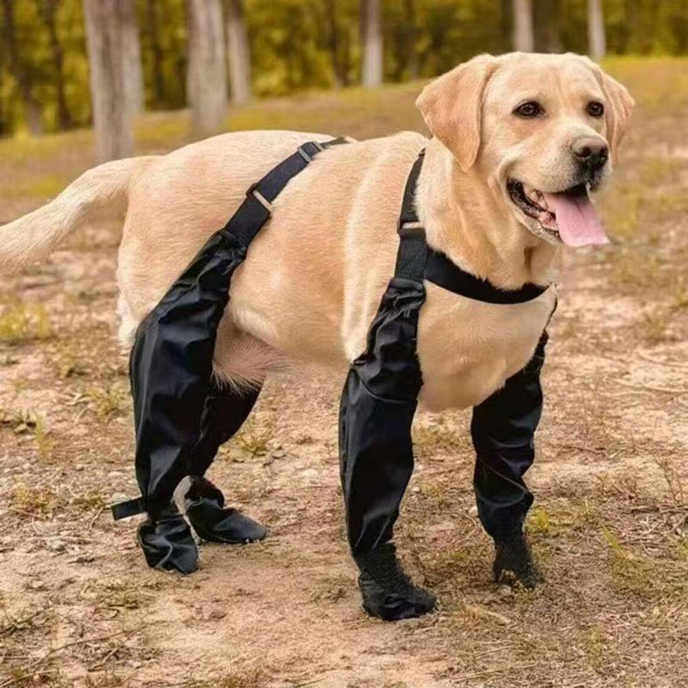 Dog Rain Boots Suspender Water - Dog Booties Paw Protector ulasan dan harga